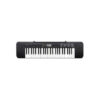 CASIO CTK-245